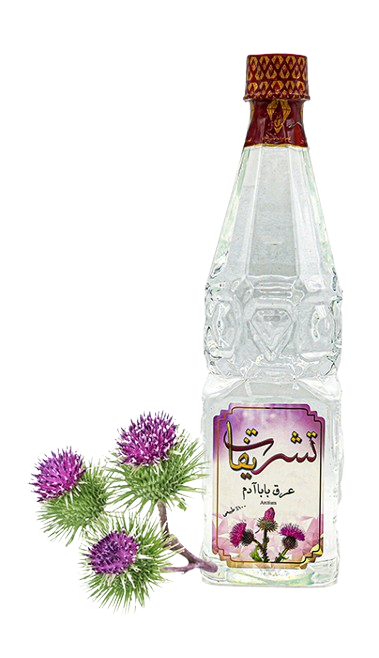 خلاصة الأرقطيون